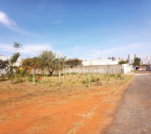 WhatsApp Image 2026-03-11 at 09.36.09